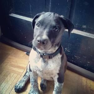 Meet your Posher, Jayden